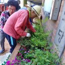 성동리경로당 이미지