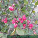 이원재 농장 이미지