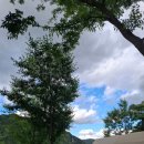 자연밸리 관광농원 이미지