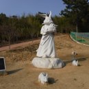 3월10일매화꽃길트레킹+별주부전테마공원 이미지