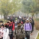 통일민박 이미지