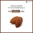 한국특산품