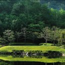 중앙골프 이미지