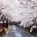 4공단로-3 이미지