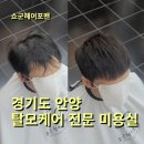 경기도 안양 탈모미용실 쇼군헤어포맨의 특별함