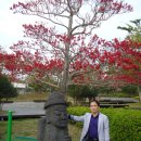 돌하르방 이미지