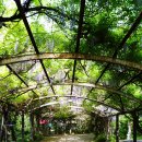 삼풍가든 이미지