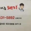 제주부리는돼지 이미지