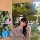 크리스탈(144) | 클래식과 트렌드의 균형,베이비드래곤 WALLIS 크리스탈브라운 하금테 안경
