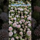 화춘농장 이미지