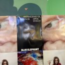 수원중앙안경원 | 성수_블루엘리펀트 스페이스 성수 첫 오픈날 다녀온 후기 성수최대의 안경 스페이스 지갑조심해야돼