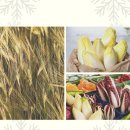 구천농장 이미지