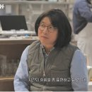 안성재 카카오 검색결과