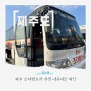 제주 조아렌트카 추천 내돈내산 예약