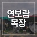 똘똘이목장3 이미지