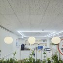 공원로333번길 이미지