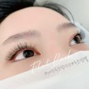 속눈썹빨 - 포항시 남구 | 대전 속눈썹 연장 잘하는 곳 대전 용문동 “속눈썹빨”