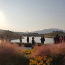 제주이글여행사
