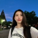 샌디플 이미지