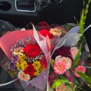 샛별플라워 이미지