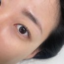 플로리아 | [마포]공덕 속눈썹펌 잘하는 곳 ‘플로리아뷰티’ 솔직 후기