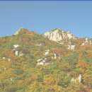 삼호한의원 이미지