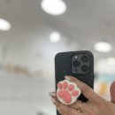 그립톡 양모펠트 이미지