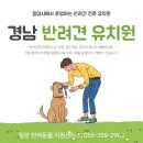선샤인 반려견 유치원 네이버블로그