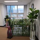 법률사무소율목 - 서구 둔산로 133 | 법률사무소율목