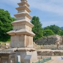 이천 년 삶의 희로애락, 충주 계립령 하늘재_20240619