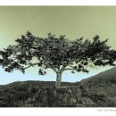 남해유배문학관 이미지