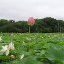 상림농장 이미지