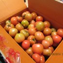 번지농장1번 이미지