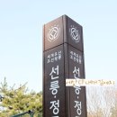 번개 탐방, 엄덕수 : Winter Sonata with two late Kings in Mid-Seoul (March 10, 2010, 15:00~16:30) 이미지