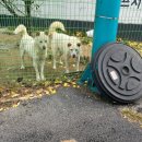 올리스 일산백석점 이미지