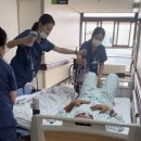 잘가또와 이미지