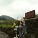 동네 게스트하우스 이미지