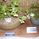 동의중학교 이미지