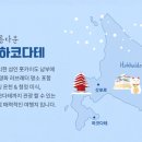 백만홈 이미지