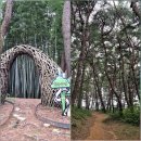 고창읍성 관광안내소 | 전북 고창 여행 가볼만한곳 고창읍성 모양성제 축제 문수사 외 로망스투어