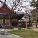 경상감영공원 이미지