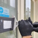 강아지미장원 이미지