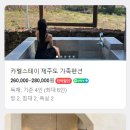 카멜스테이 이미지