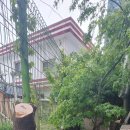 판장부대찌개 이미지