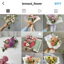 르무드(LEMOOD)