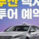 (주)부산자유여행사 이미지