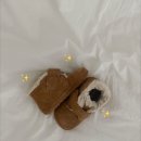 웨이드 | 돌 전 아기 겨울 첫 신발 올드솔 슬루피 탠스웨이드 착용 후기