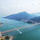 출토96 소나무 이미지