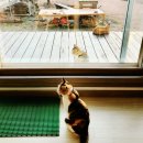 솔바람 힐링하우스 이미지