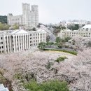 경희대학교 이미지
